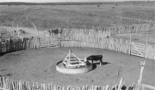 Historic Photo Cibola NF & NGs