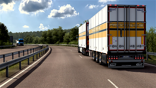 NG 590 S Tandem/ Ekeri reefer mid axle