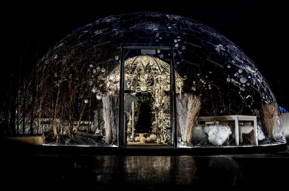 Biosphere (Corona Free Zone) or Snow globe