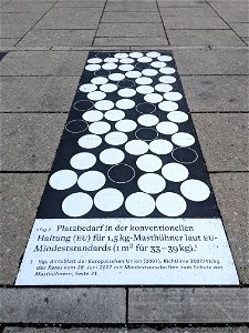 Platzbedarf in konventioneller Haltung (EU)