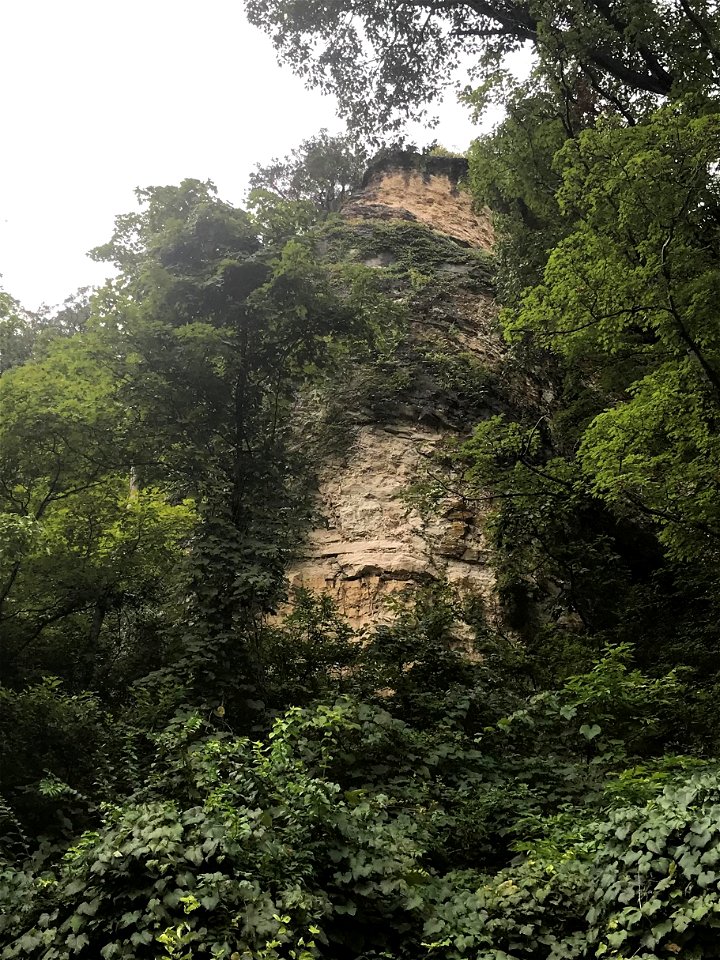 Pillar of Burlington-Keokuk Limestone