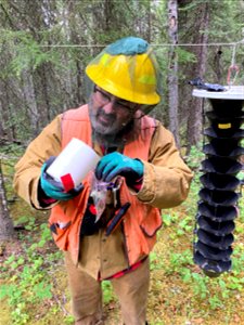 Garret-spruce-beetle-trap-2021-BonanzaCK-Alaska-SydneyBrannoch-02
