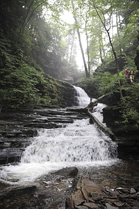 Ricketts Glen State Park