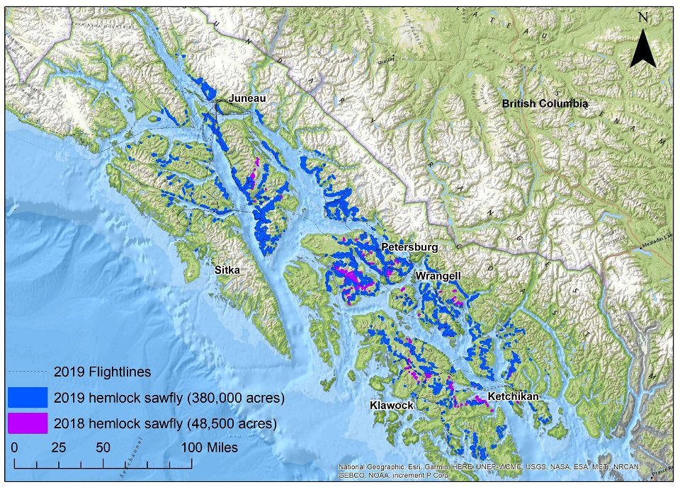 Hemlock-sawfly-damage-aerial-detection-survey-2018-2019-Tongass
