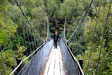 Hokitika Gorge Swing Bridge