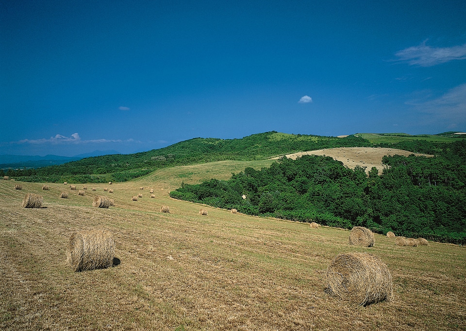 Hay bail harvesting in golden field landscape