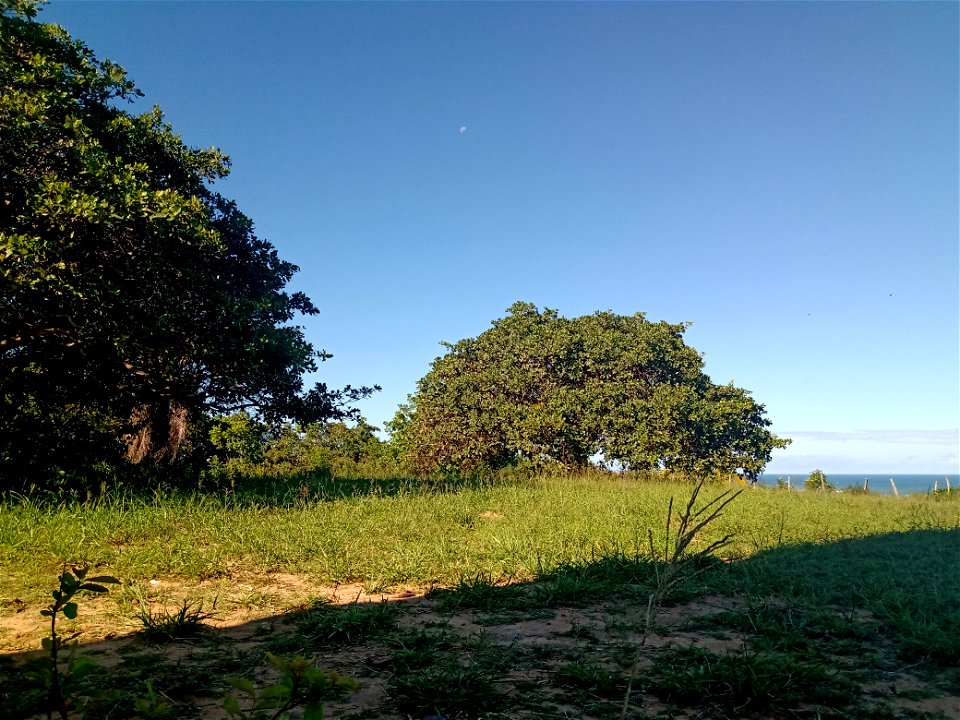 Porto de Pedras, Alagoas