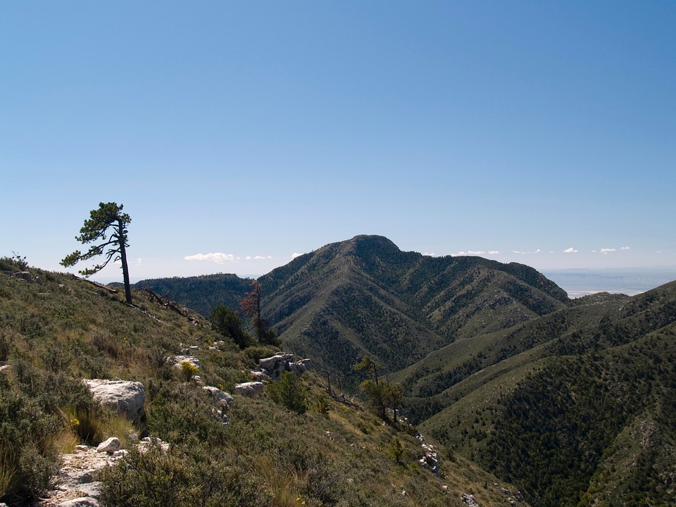 Landscape of Guadalupe Peak