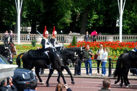 Queens Household Cavalry photo