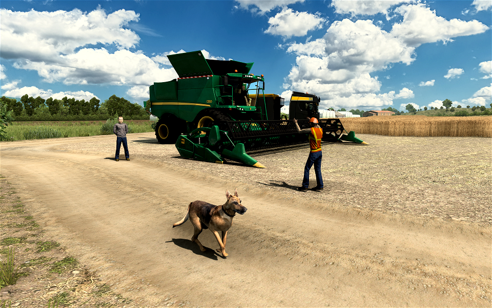 Cereal harvest in southern Spain - summer 2021
