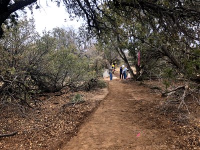 Trailwork on Sandia RD