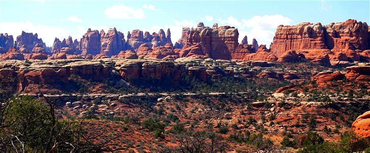 The Needles District
