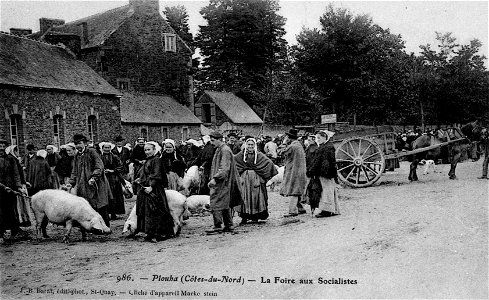 Plouha Foire aux cochons vers 1900 photo
