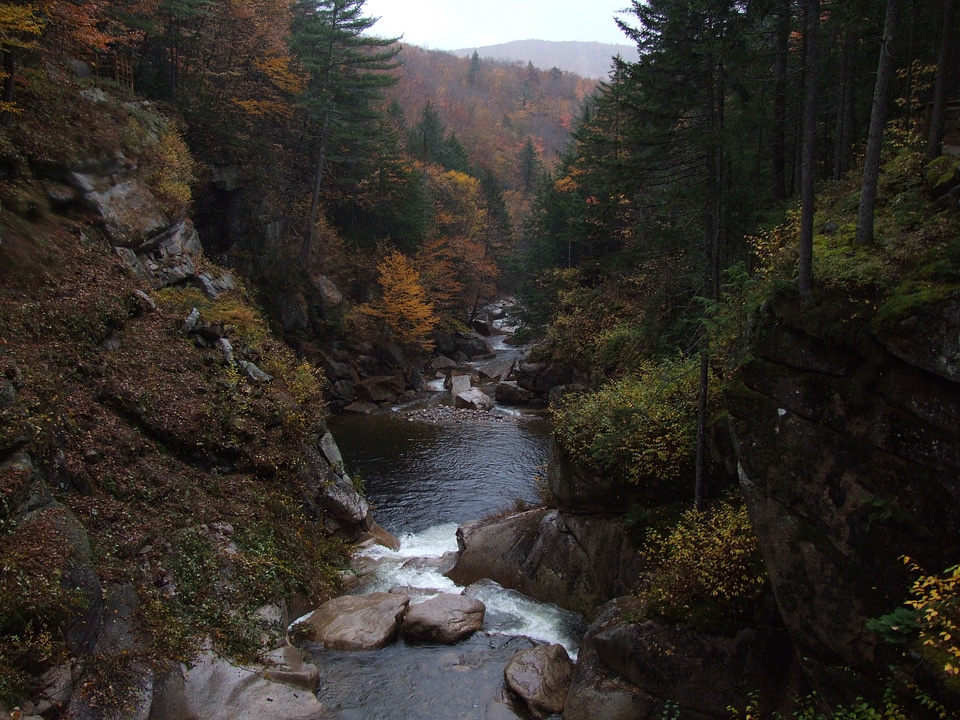 White Mountains Fall Foliage