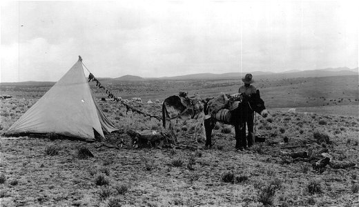 Historic Photo - Cibola NF & NGs