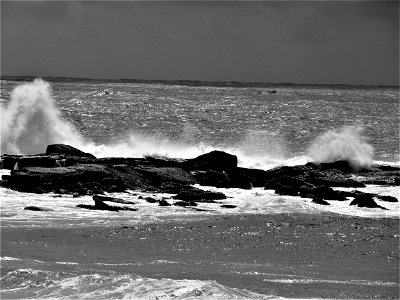 Coogee Seaside IX