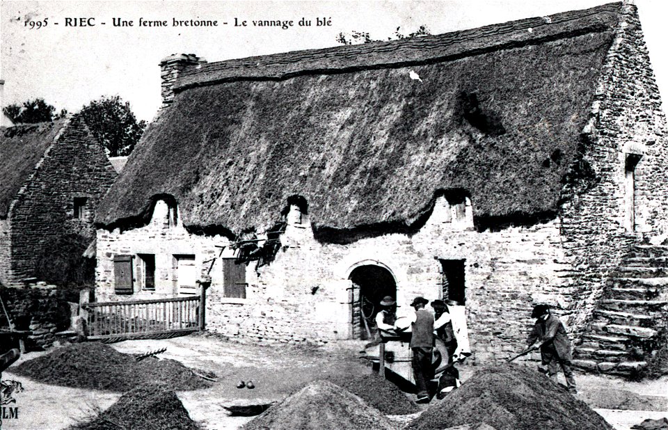 RIEC Une ferme bretonne Le vannage du blé