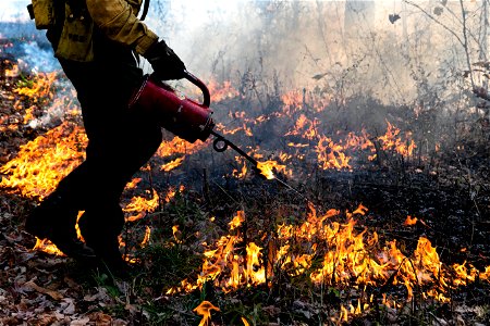 Drip Torch in a Prescribed Burn