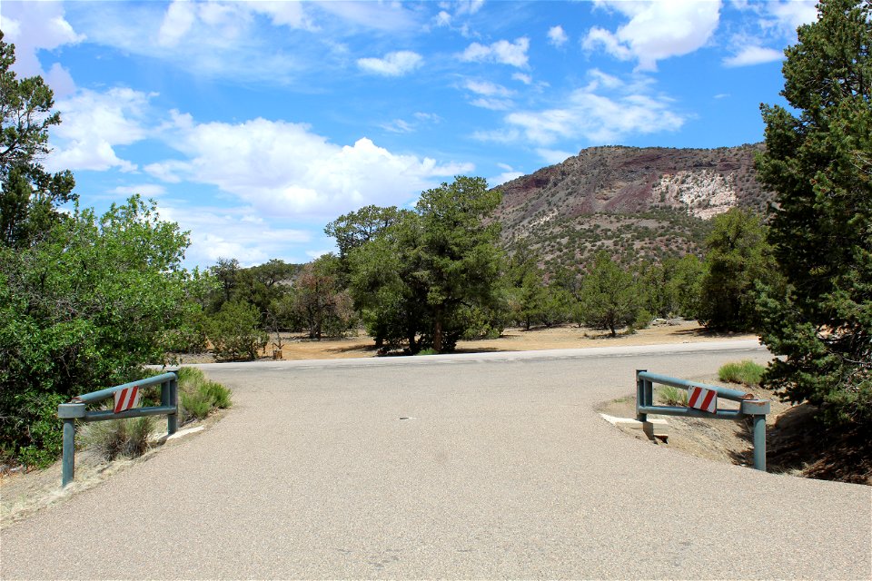 Mt Taylor RD Coal Mine Campground