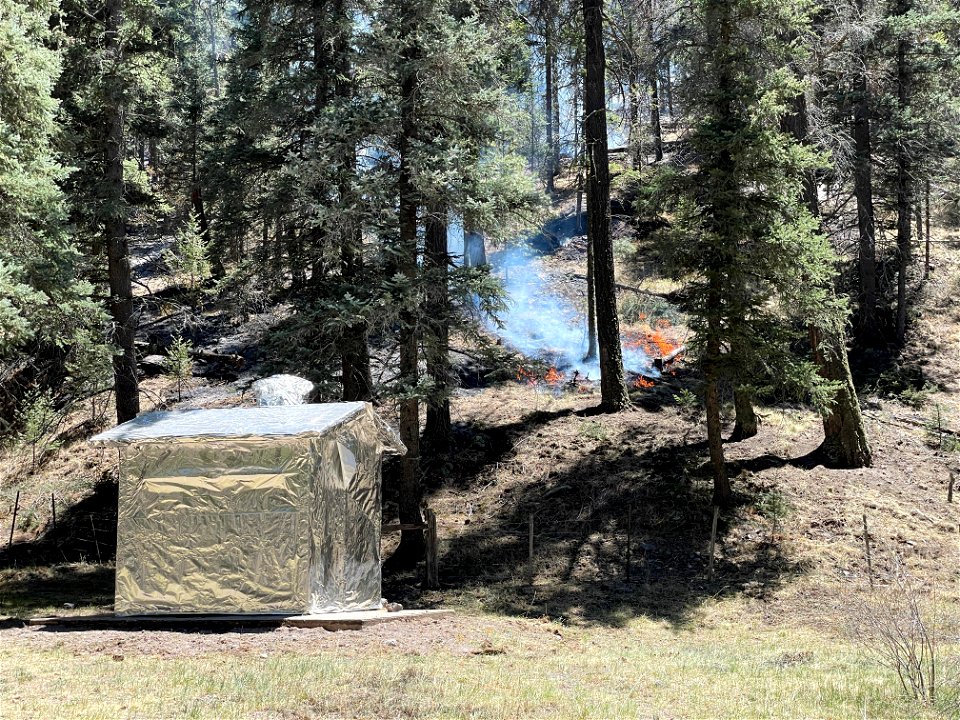 Magdalena RD Bear Trap Fire 2022