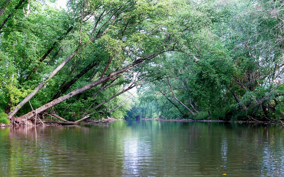 Johns River in Burke County, NC, USA