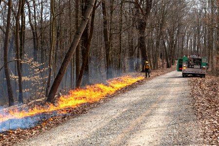 Igniting a Prescribed Fire Using a Road as a Fire Line photo