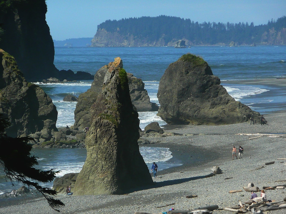 Olympic National Park Washington