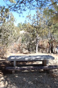 Sandia Ranger District – Pine Flat Picnic Area