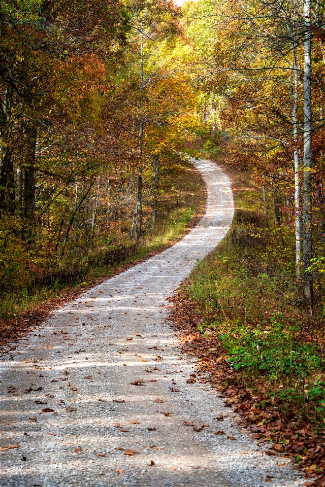 Ironton Ranger District in Fall
