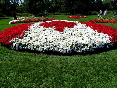 Canadian flag flowerbed.