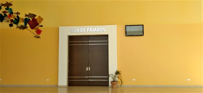 Salón Isla de pájaros en el Mazatlán International Center,3 de febrero de 2023
