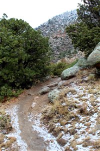 Sandia RD Trail 305 photo