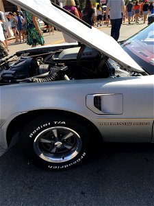 Pontiac Trans Am. When cars were cars.