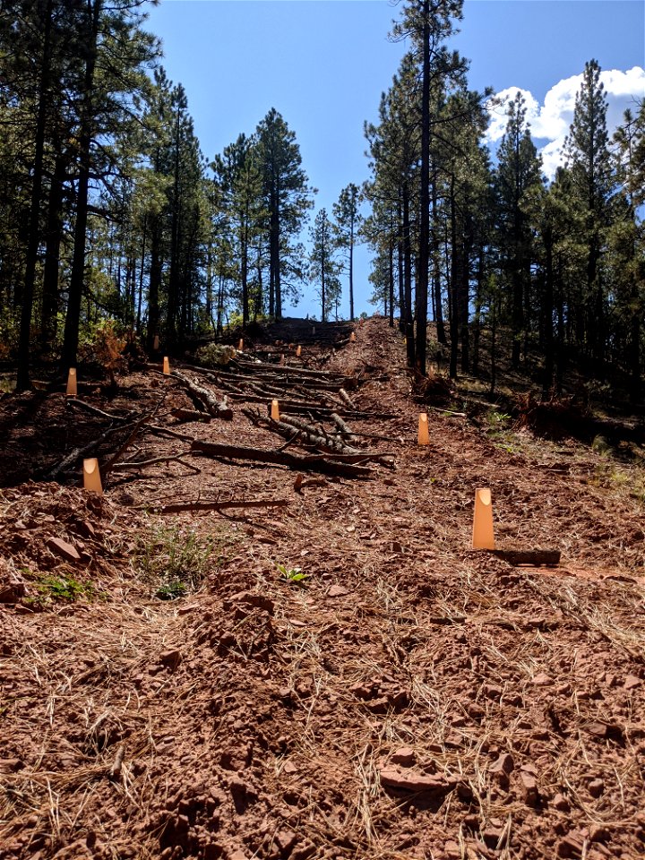 Mt. Taylor RD Road Restoration