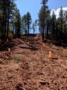 Mt. Taylor RD Road Restoration