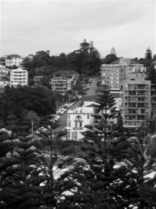 Coogee Seaside V