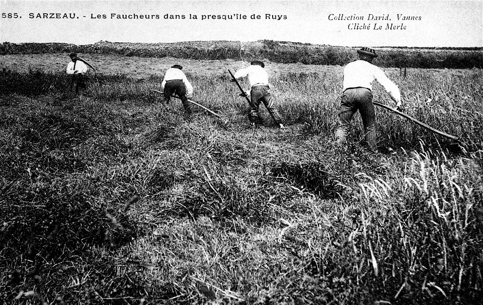 Les faucheurs  à Sarzeau vers 1900