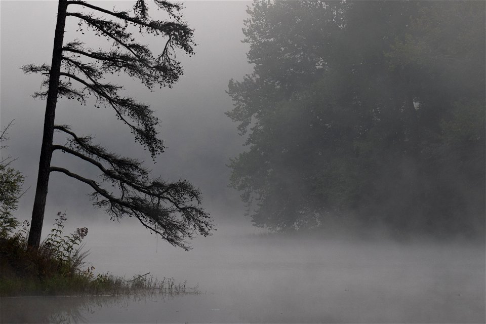 Foggy Morning at Lake Vesuvius photo