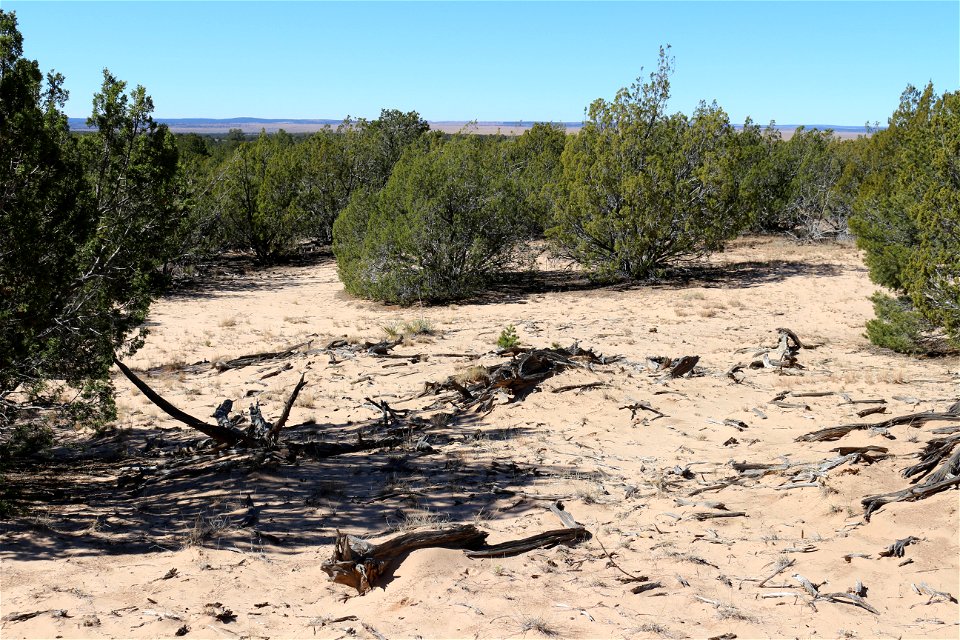 Gallinas Mountains