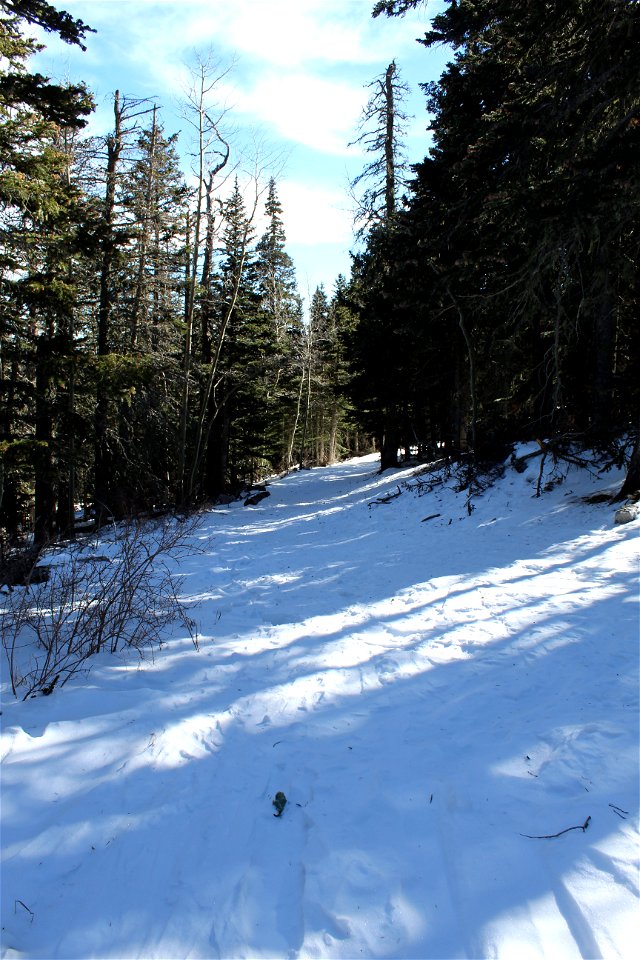 Ellis Trailhead Dec 2020