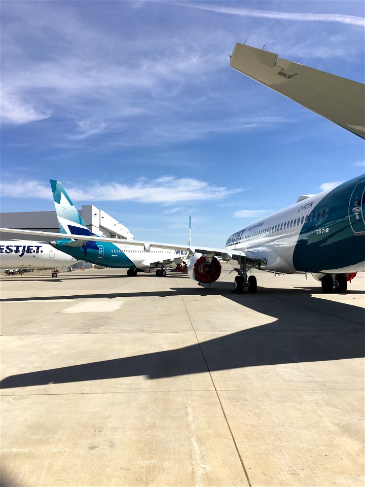 Grounded WestJet 737-800’s at Calgary airport.