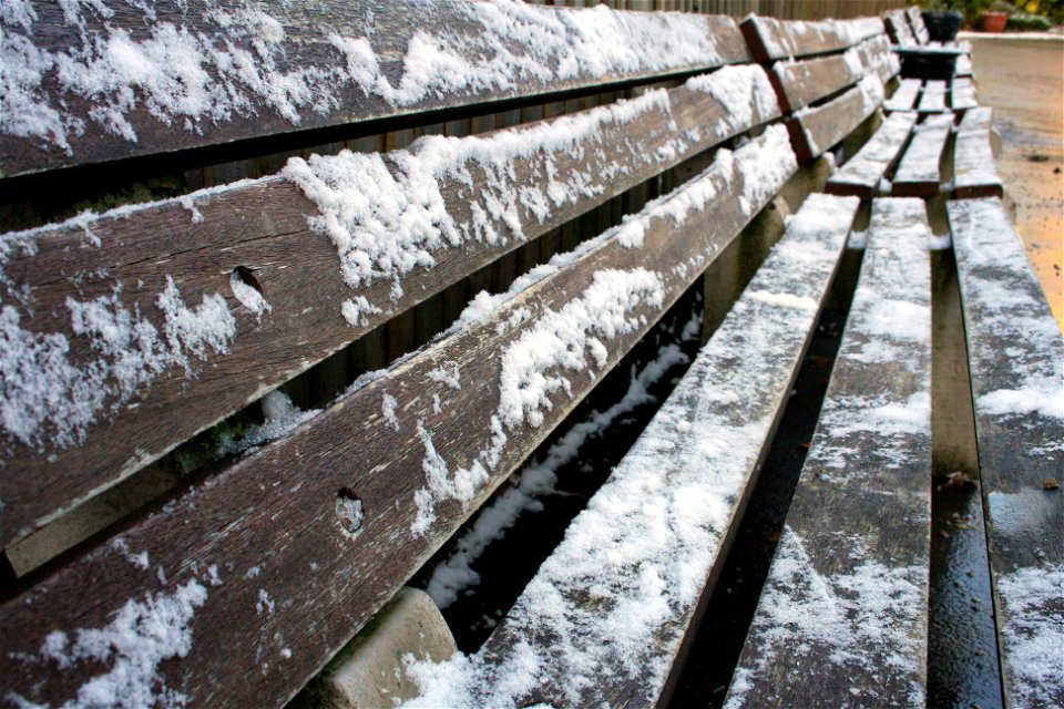Project 365 #334: 301110 Snow, Sort Of