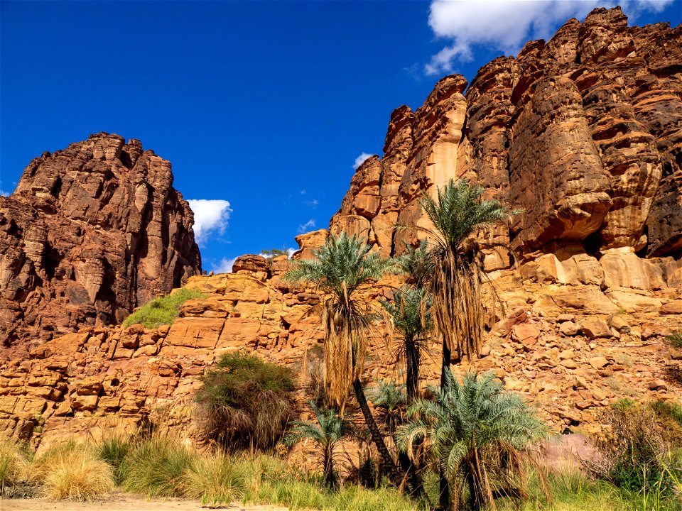Arabia2022_255.jpg