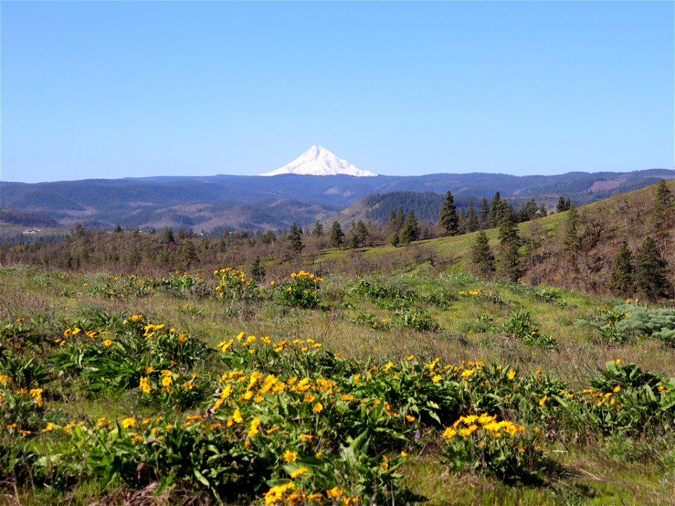 Memaloose Hills in OR