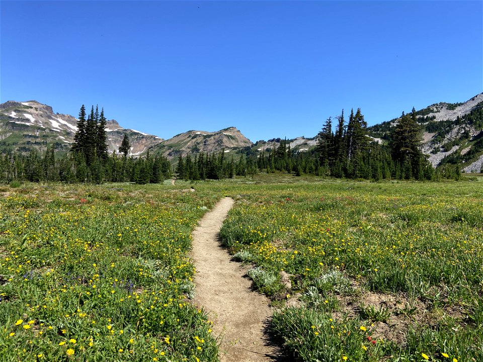 Goat Rocks Wilderness in WA
