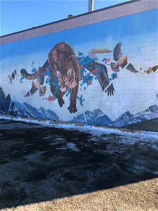 Cat and Birds on a wall