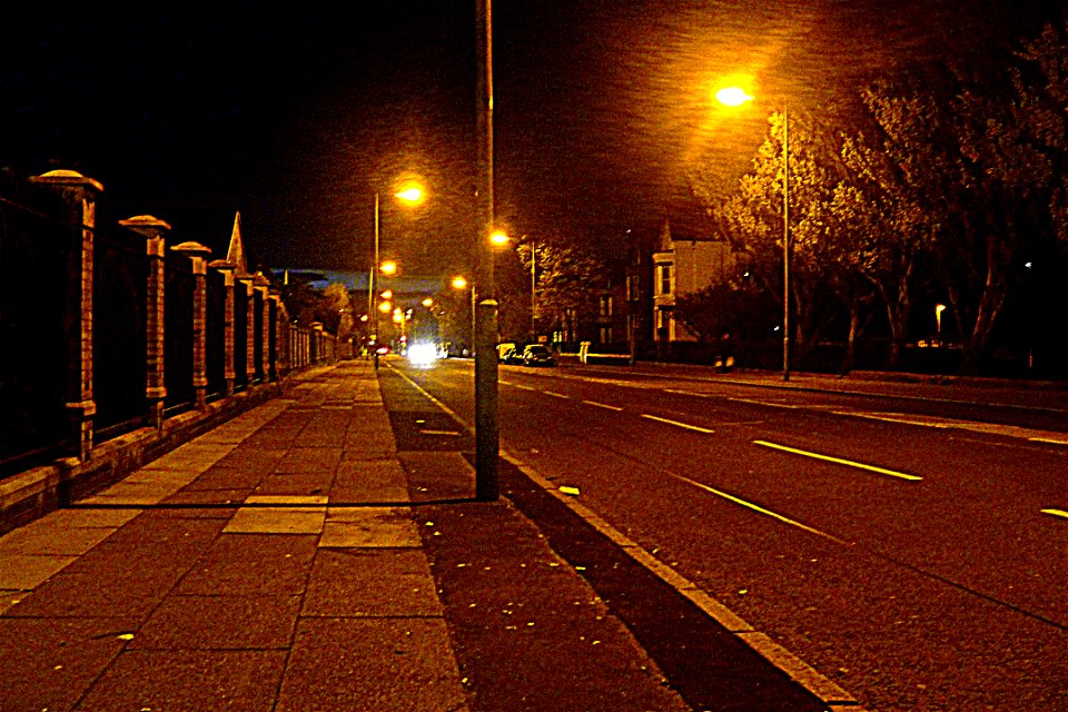 Project 366 #121: 300412 I'm Walkin'