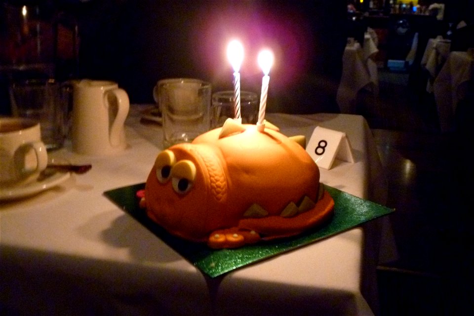 Project 365 #17: 170113 Happy Birthday Fred!
