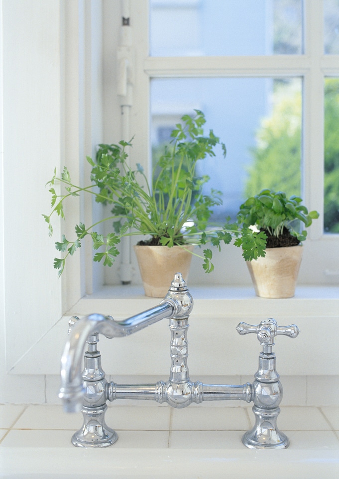 Leaves and twigs in a vintage jug on a window sill