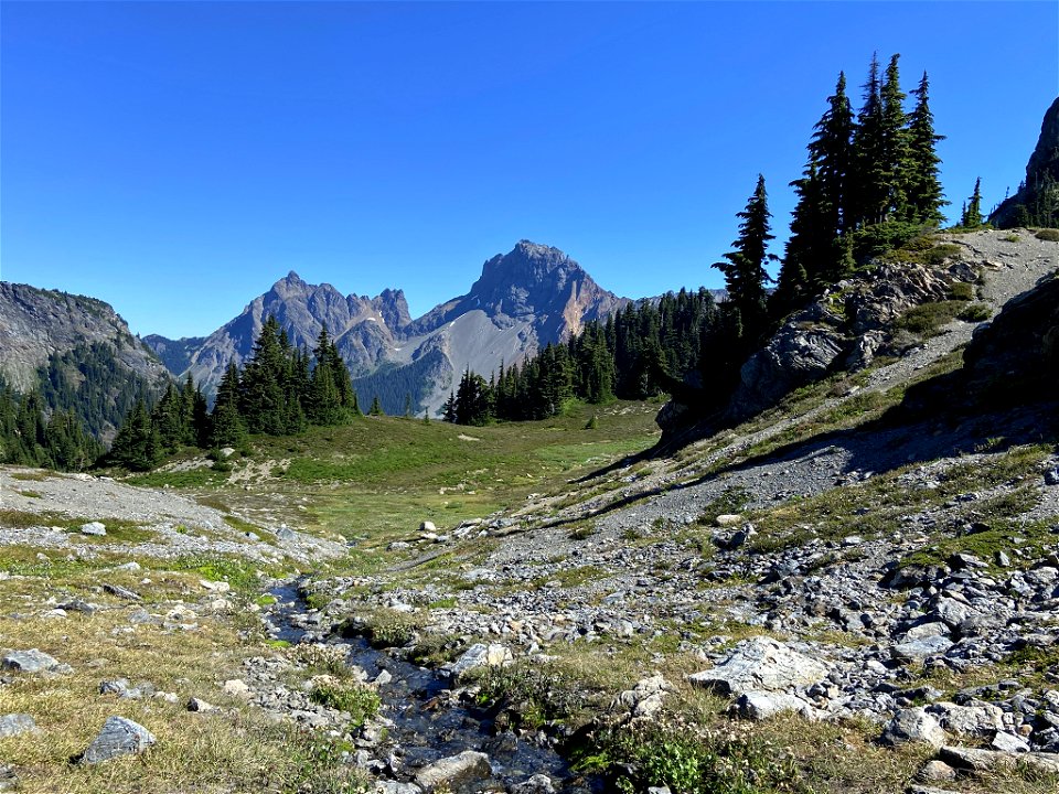 Yellow Aster Butte in WA